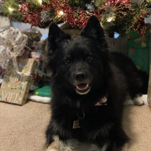 Fundraising Page: Michaela Middleton